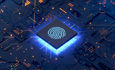 Chip de seguridad para el almacenamiento seguro de los datos biométricos de las huellas dactilares